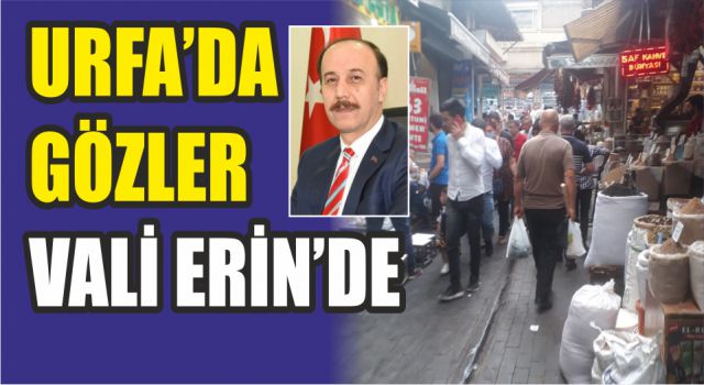 Urfa’da vaka sayısı neden durdurulamıyor?