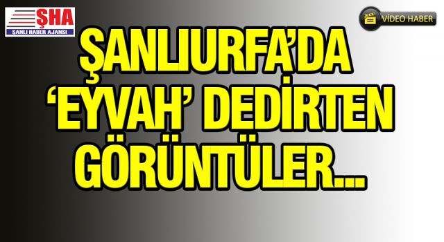 Urfa'da skandal görüntüler ortaya çıktı