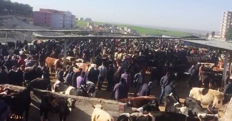 Vatandaşlar yeni bir hayvan pazarı talep ediyor
