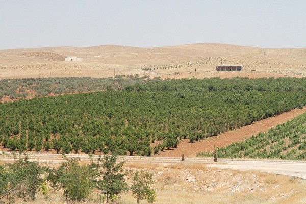 "Yeşil Şanlıurfa" için challenge