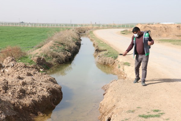 Akçakale'de larva ile mücadele çalışmaları devam ediyor