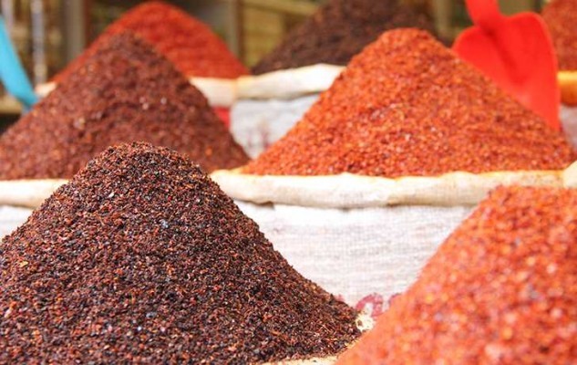 Pul biber üretimi yapacak girişimcilere hibe müjdesi