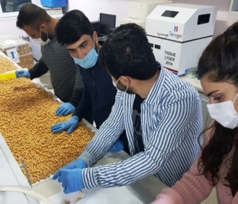 HRÜ’de Gen Bankası oluşturuldu