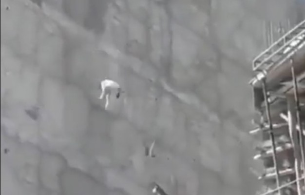 Suruç'ta köpek 7. kattan aşağı atıldı