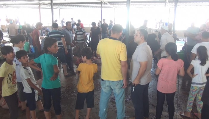 Çocukların gözü önünde kurban kestiler
