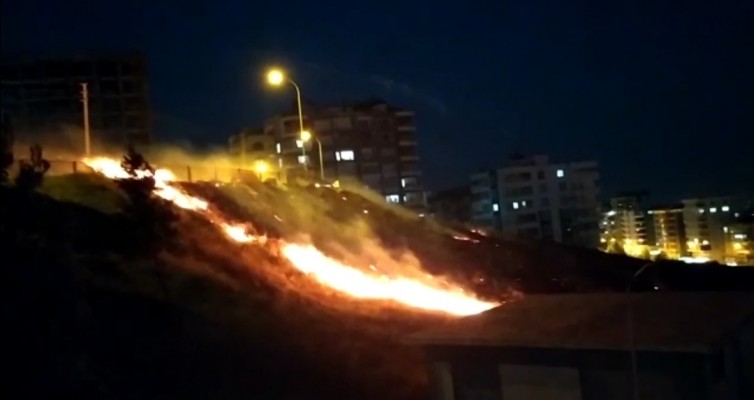 Şanlıurfa'da kuru otlar alev aldı