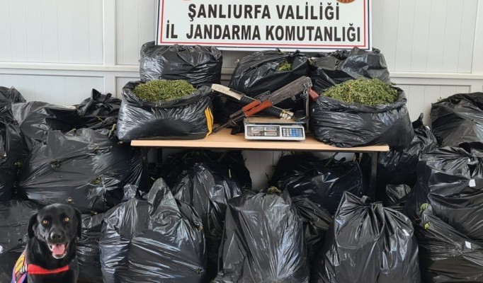 Şanlıurfa’da uyuşturucu operasyonu: 10 gözaltı
