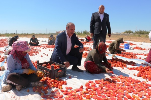 Şanlıurfa'dan Avrupa'ya ihracat
