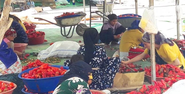 Şanlıurfalıların 'acı' serüveni başladı