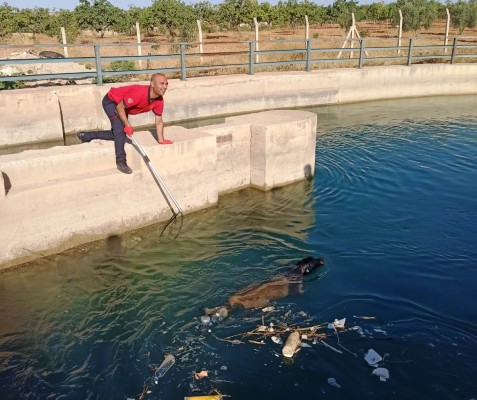 Sulama kanalına düşen köpek kurtarıldı