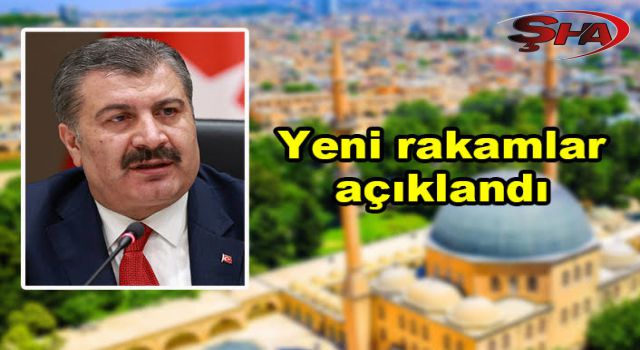 Bakan Koca açıkladı! İşte Urfa'nın vaka sayısı...