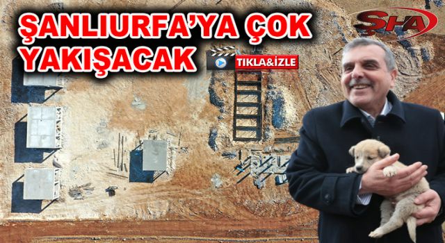 Urfa'da can dostları için dev projede çalışmalar sürüyor