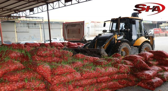 Urfa'da 22 ton bozuk kuru soğan ele geçirildi