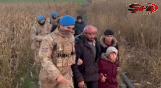 Urfa’da operasyon: 15 organizatör tutuklandı