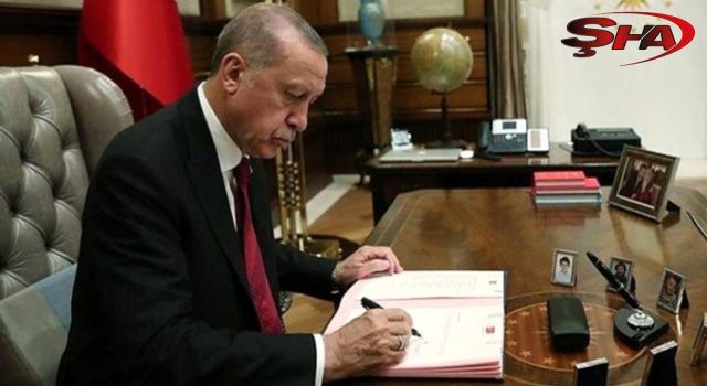 Erdoğan son dokunuşları yapıyor! Adaylar açıklanacak