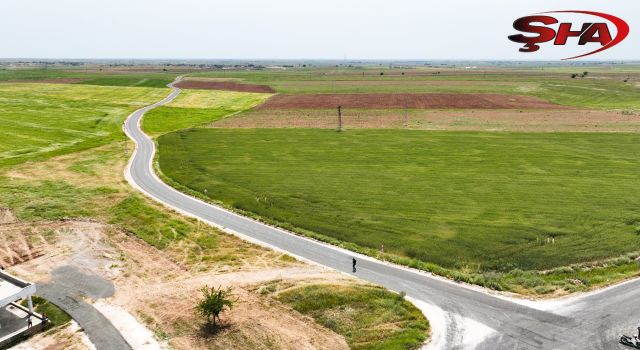 Harran'da bağlantı yolları asfaltlanıyor
