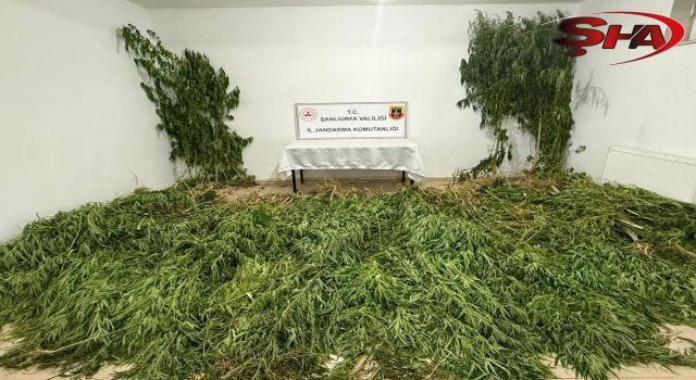 Şanlıurfa’da uyuşturucu operasyonu: 3 gözaltı