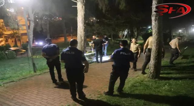 Urfa’da parkta kanlı gece!