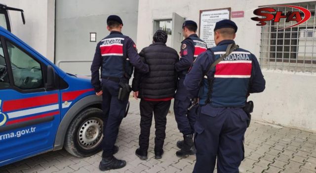 Bakan Yerlikaya, FETÖ operasyonlarını duyurdu! Çok sayıda gözaltı var