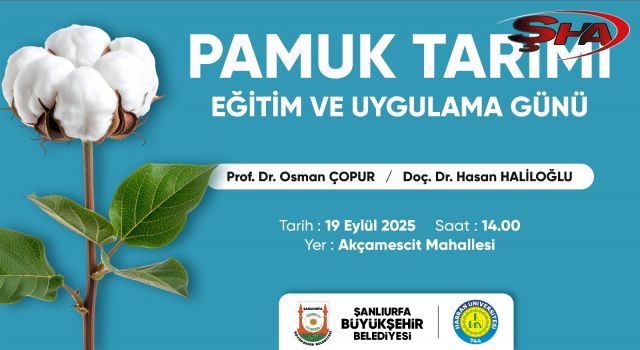 Büyükşehir’den pamuk çiftçilerine eğitim ve uygulama günü