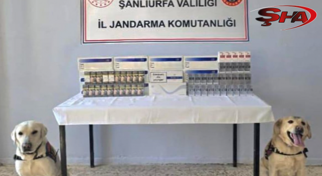 Şanlıurfa’da kaçak sigara ele geçirdi