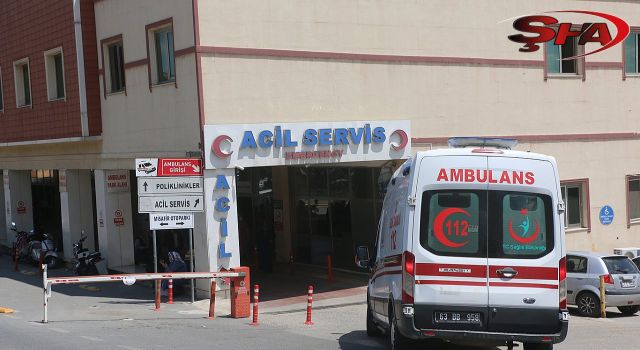 Urfa’da hayvan otlatma kavgası: 3 yaralı
