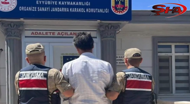 Şanlıurfa dahil 31 ilde FETÖ operasyonu: 50 kişi tutuklandı