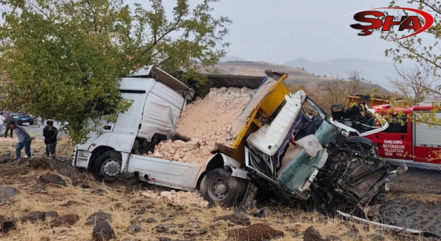 Şanlıurfa'da feci kaza: 1 ölü, 1 yaralı