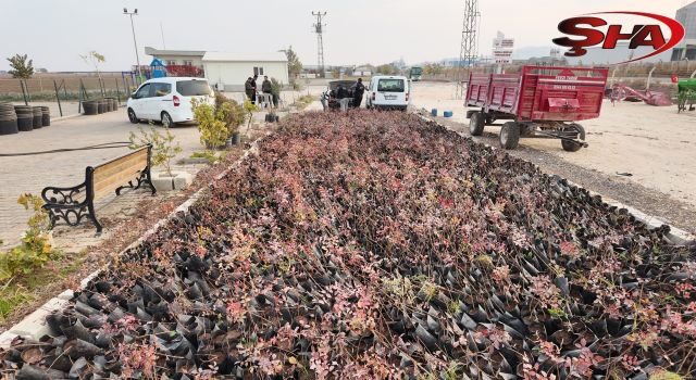 Büyükşehir çiftçileri sevindirdi