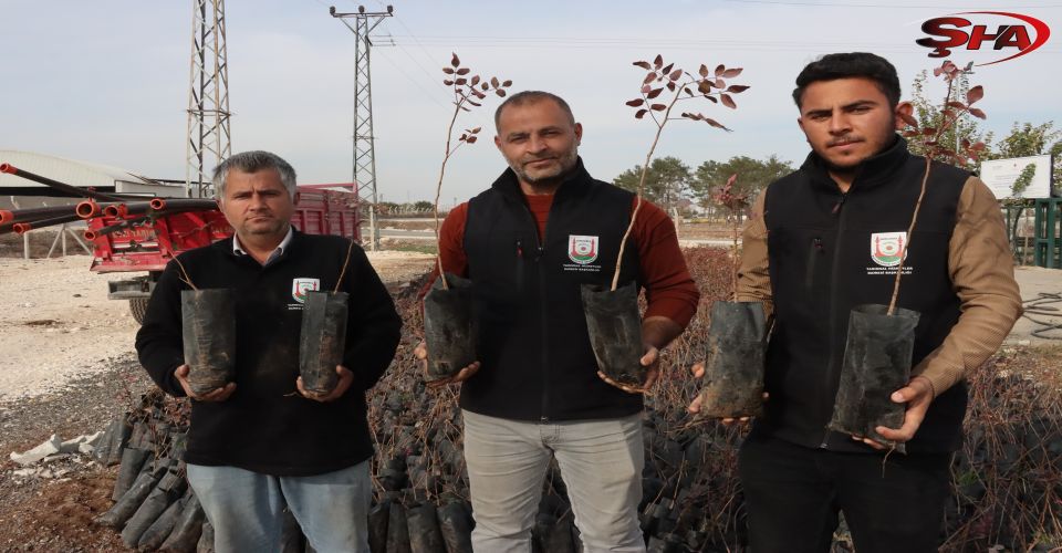 Büyükşehir çiftçileri sevindirdi