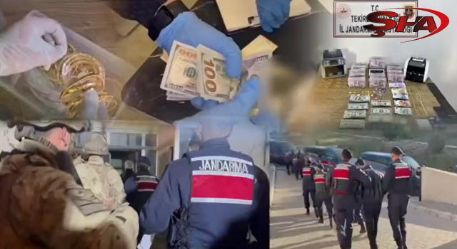 Urfa ile 7 ilde operasyon! Şebeke çökertildi