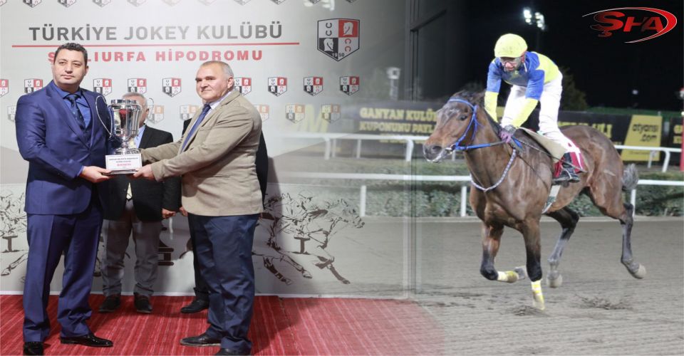 Harran Belediyesi Koşusu'nu Pirate Of The Sea Kazandı