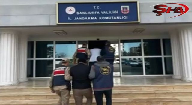 Şanlıurfa’da dolandırıcılık operasyonu! 2 tutuklama