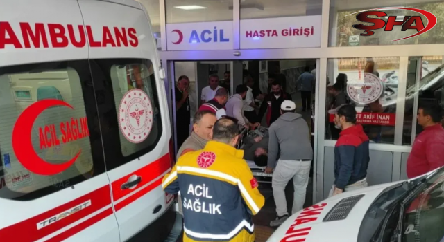 Şanlıurfa’da otomobil yayaya çarptı