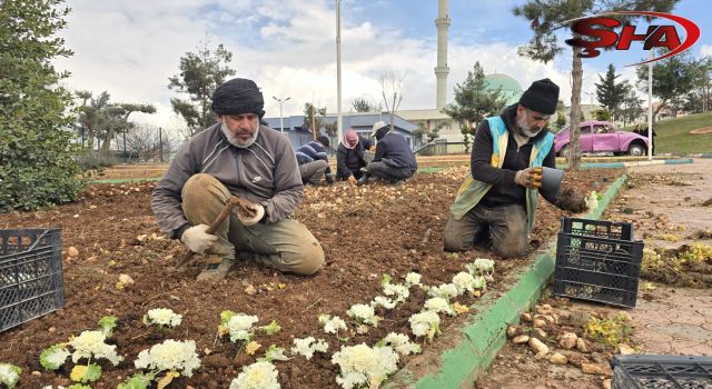 Eyyübiye yeşil alanları bahara hazırlanıyor
