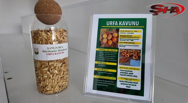 Şanlıurfa’da Ata Tohumları çiftçilerle buluşuyor