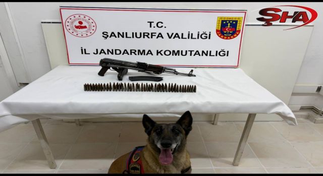 Şanlıurfa'da ruhsatsız silah operasyonu
