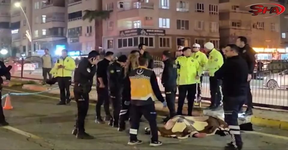 Urfa’da feci kaza! 38 yaşındaki kadın yaşamını yitirdi