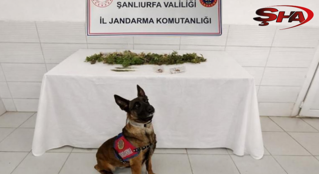 Birecik'te ruhsatsız silah ve uyuşturucu operasyonu