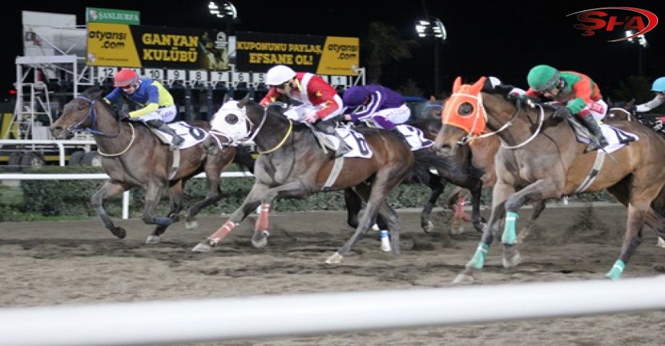 Büyükşehir Başkanlık Koşusunu 'Dar Sokak' kazandı