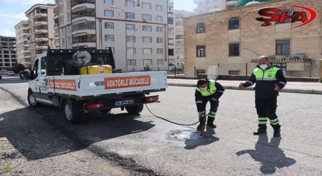 Büyükşehir’den sivrisinek ve haşerelere karşı yoğun mesai
