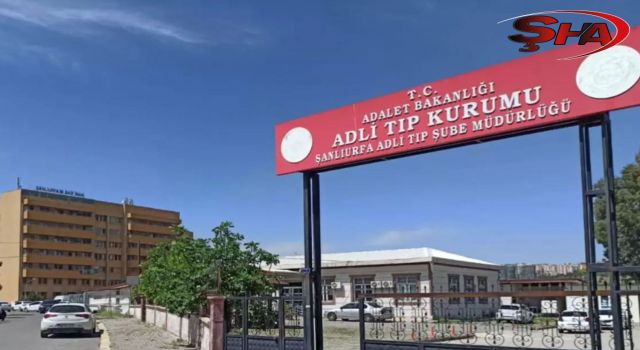 Şanlıurfa’da kamyon ile otomobil çarpıştı: 1 ölü
