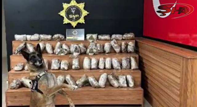 Şanlıurfa’da operasyonda 17 kilo 550 gram skunk maddesi ele geçirildi