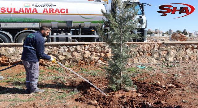 Yukarıgöklü kent parkı yeşile bürünüyor