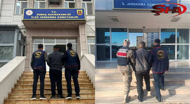 Şanlıurfa’da aranan 4 hükümlü jandarma operasyonuyla yakalandı