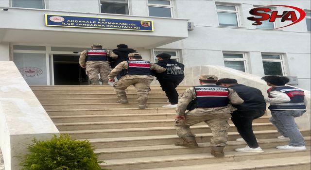 Şanlıurfa’da göçmen kaçakçılığı operasyonu