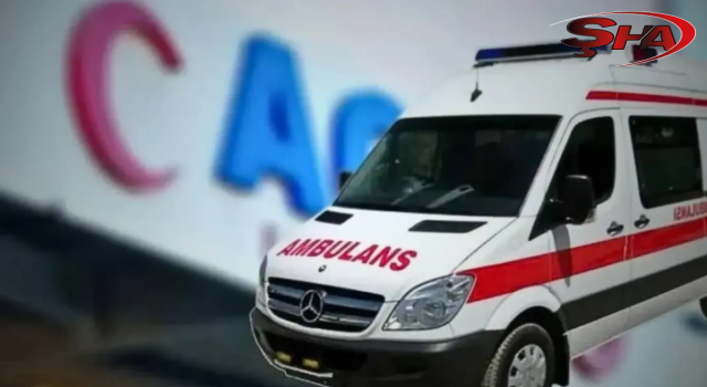 Şanlıurfa’da iki otomobil çarpıştı: 2 yaralı