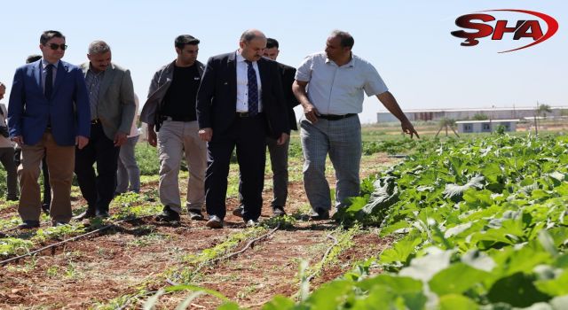 BAŞKAN GÜLPINAR’DAN DÜNYA ÇİFTÇİLER GÜNÜ MESAJI