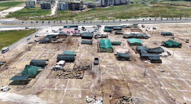 Haliliye’de kurban satış ve kesim yerleri belirlendi