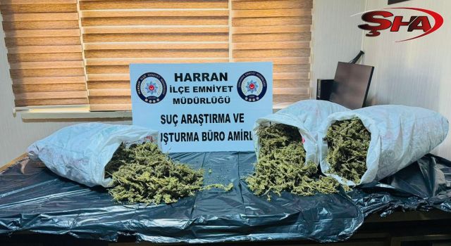 Harran’da narkotik operasyonu: 1 tutuklama